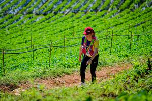 BIB: 
                            <button type="button" onclick="openModal(19164193)" class="btn btn-primary btn-sm float-right btn-popup" data-toggle="modal" data-target=".modal-high-quality">
                        <i class="fas fa-shopping-cart"></i> Add to Cart
                    </button>
                                            <button type="button" onclick="isThisMe(19164193, true)" class="btn btn-success btn-sm float-right btn-popup btn-isme hidden" data-toggle="tooltip" data-placement="bottom" title="นี่คือรูปของคุณใช่ไหม คลิกที่นี่เพื่อเอาเข้าอัลบั้ม">
                        <i class="fas fa-plus"></i> Add to album
                    </button>
                    <button type="button" onclick="isThisMe(19164193, false)" class="btn btn-warning btn-sm float-right btn-popup btn-isnotme hidden">
                        <i class="fas fa-ban"></i> Remove from album
                    </button>